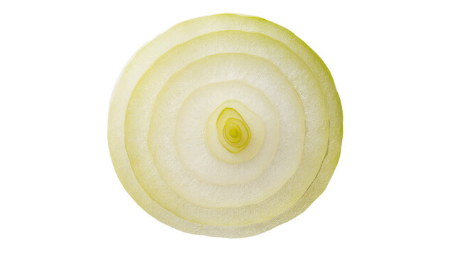 Fresh, raw, thinly sliced yellow onion ring with visible concentric layers, perfectly isolated PNG on transparent background, a versatile cooking ingredient