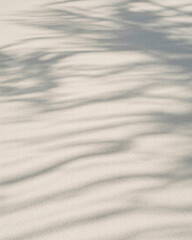Obraz premium Palm tree leaf shadows cast on smooth white sand beach surface creating tropical summer holiday atmosphere