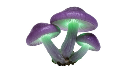 Three mystical glowing purple mushrooms with vibrant green bioluminescence, isolated on transparent background, perfect for fantasy designs PNG © Diego