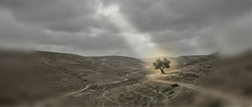 Lonely tree standing in large desert valley under dramatic cloudy sky. Biblical Garden of Eden landscape reflecting exile and solitude. Concept of nature and divine light. Banner with copy space