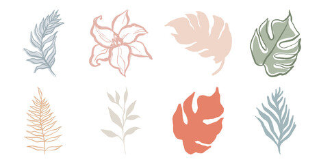 Elegant botanical pastel illustrations element set