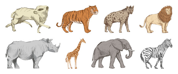 Obraz premium Illustrated African wildlife animals element set