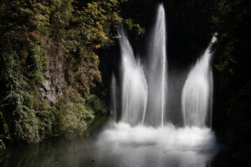 Obraz premium Beautiful fountain looking like a white swan