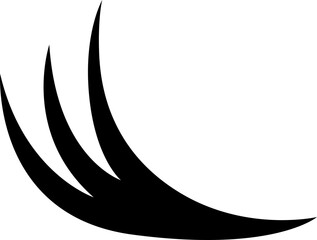 Obraz premium Bunch Eyelash Extensions