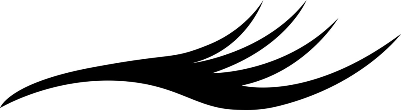 Eyeliner Lashes Makeup