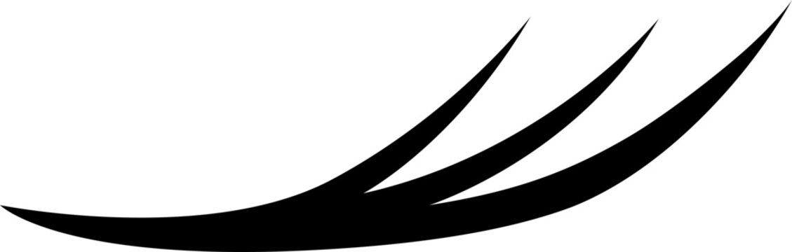 Bunch Eyelash Extensions