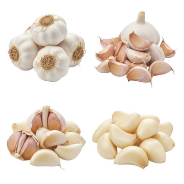 Fresh garlic cloves displayed in various quantities and forms