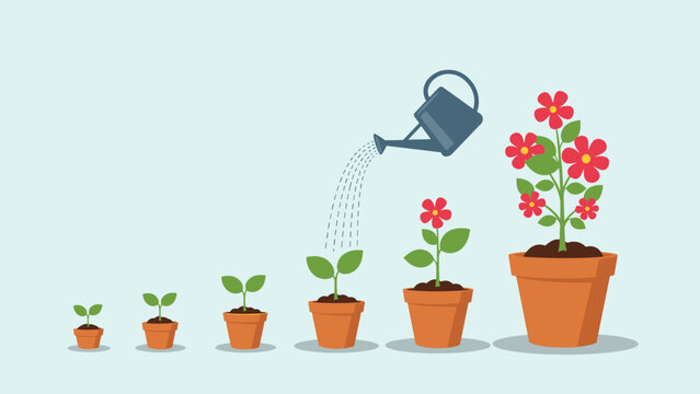 Biological life cycle of a flowering plant shown in stages from a small sprout to a full bloom in a pot with watering.
