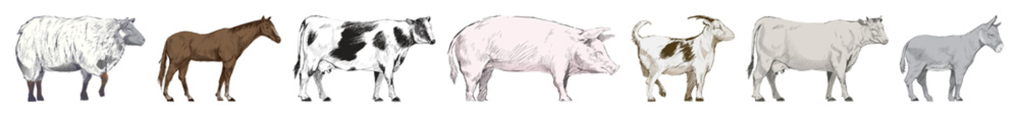 PNG Farm animals illustrated lineup element set on transparent background © Rawpixel.com
