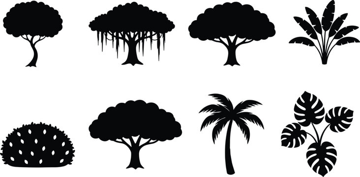 Collection of tropical tree and plant silhouettes including palm monstera banana leaves bushes and trees isolated as black vector icons for nature design