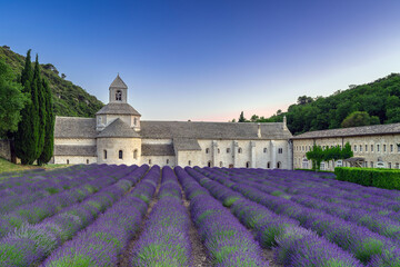 Abbey de Senanque