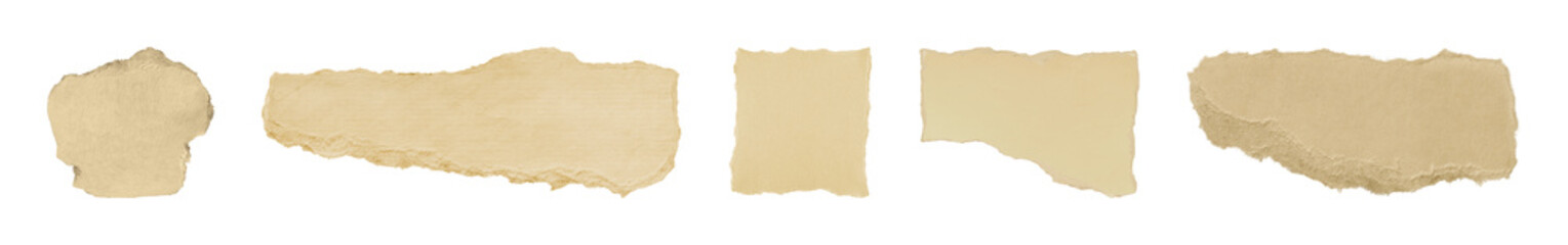 Fototapeta premium PNG Torn paper edges collection on transparent background