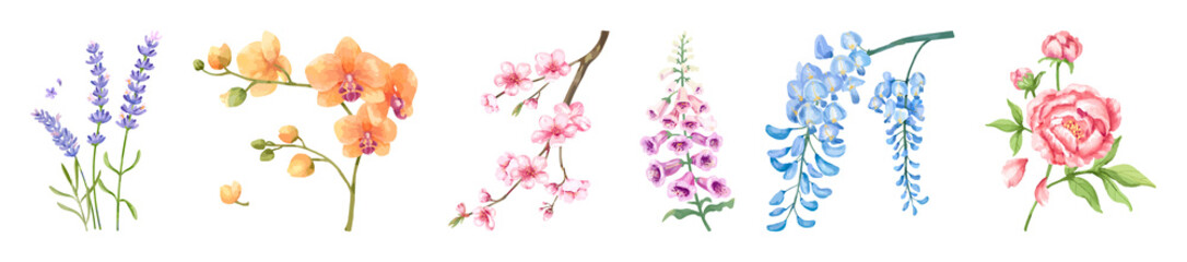 Fototapeta premium PNG Colorful floral watercolor border on transparent background