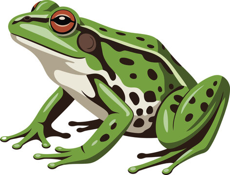 A vibrant green frog with distinctive spots and a red eye