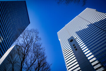 見上げる白い高層ビル © kanzilyou