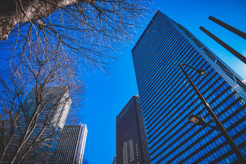 ガラス高層ビルと街灯 © kanzilyou