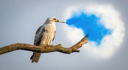 Obraz premium White kite bird holding paintbrush in beak painting blue cloud on sky