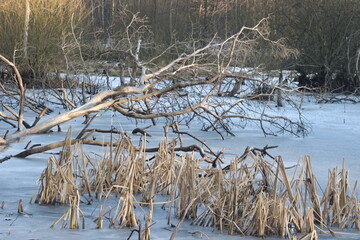 Jezioro zimą 4 © Krzysztof