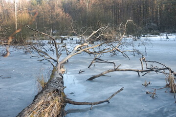 Jezioro zimą 3 © Krzysztof