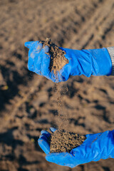 Farmer hands testing soil texture in blue protective gloves