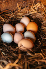Fresh chicken eggs in straw nest inside wooden chicken coop © Bohdan