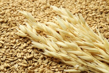 Uncooked oat flakes and spikes as background, closeup