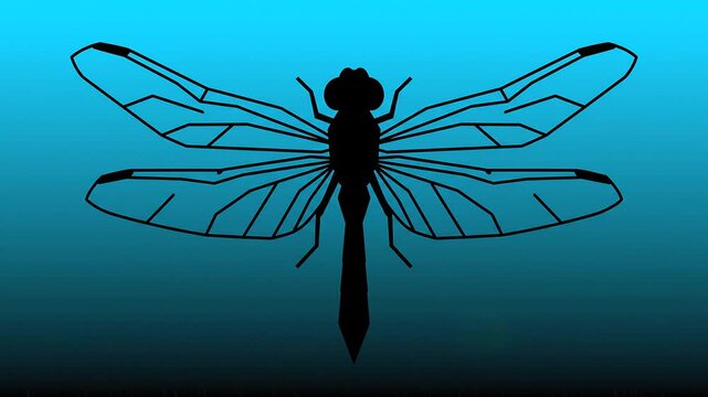 Dragonfly wings flapping in slow motion