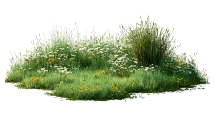 Fototapeten Pflanzen Isolated wildflower patch, lush summer meadow blooms, tall grass plants, scenic herbal groundcover  © Design Zone