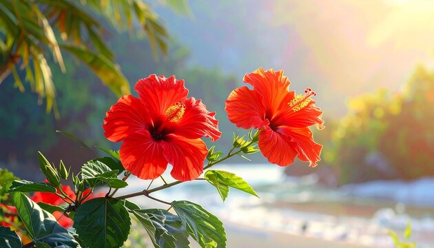 Hibiskus Bl&uuml;ten Hintergrund