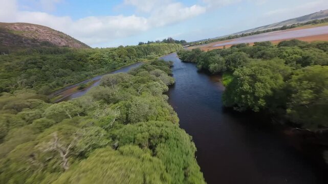 Aerial Shot of a Winding Dak River Flowing Through Luh Green Trees