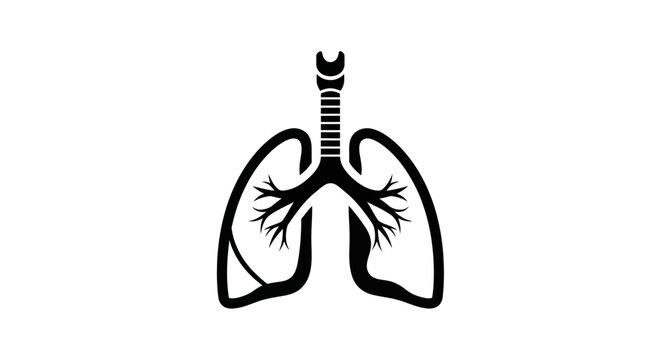 Human Lung Anatomy Illustration.