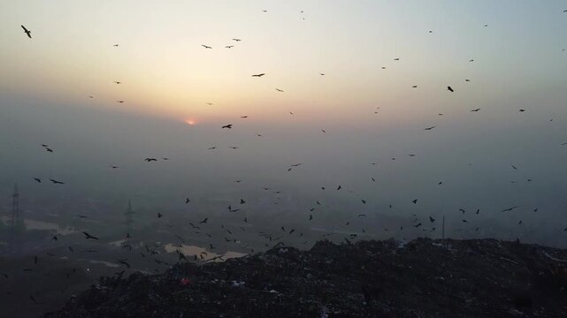 Ghazipur 4