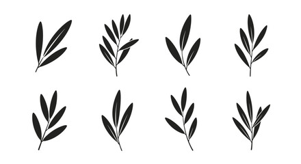 Black Olive Branch Leaf Silhouettes Set Vector Illustration Minimalist Design Elements © Fajar