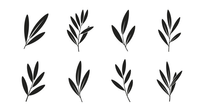 Black Olive Branch Leaf Silhouettes Set Vector Illustration Minimalist Design Elements
