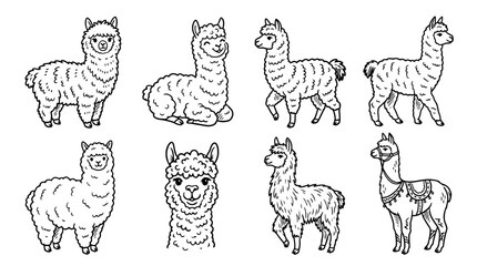 Fototapeta premium alpaca, Hand-drawn outline doodle sketches vector set collection , white background , PNG and SVG isolate