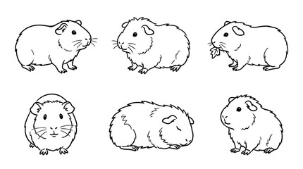 guinea pig, Hand-drawn outline doodle sketches vector set collection , white background , PNG and SVG isolate