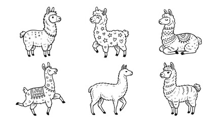 Fototapeta premium llama, Hand-drawn outline doodle sketches vector set collection , white background , PNG and SVG isolate