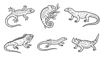 Obraz premium lizard, Hand-drawn outline doodle sketches vector set collection , white background , PNG and SVG isolate