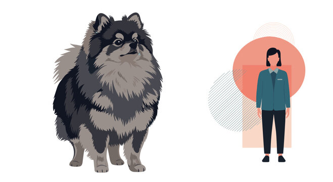 Fluffy black and grey pomeranian dog standing next to a stylized silhouette icon of a woman on a plain white background.