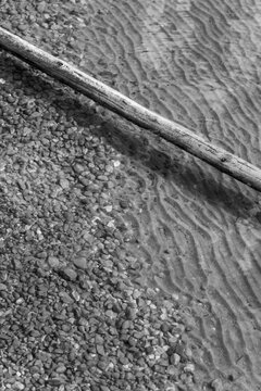 Canada, Alberta, Hinton.  Abstract composition of fallen tree, beach and water ripples at Fickle Lake