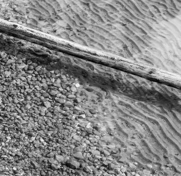 Canada, Alberta, Hinton.  Abstract composition of fallen tree, beach and water ripples at Fickle Lake