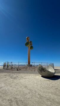 The Tree of Utah, Pando tree Utah, Tree of Life Utah