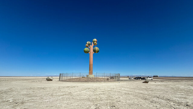The Tree of Utah, Pando tree Utah, Tree of Life Utah