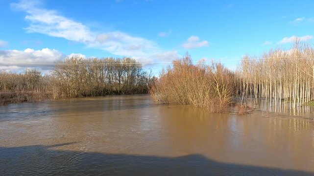 landscape in the river Esla with trees around