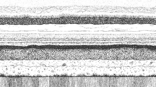 Cross section of earth layers showing soil strata grass roots and wavy surface textures