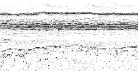 Obraz premium Black and white abstract representation of layered geological strata or seismic data with textured foreground