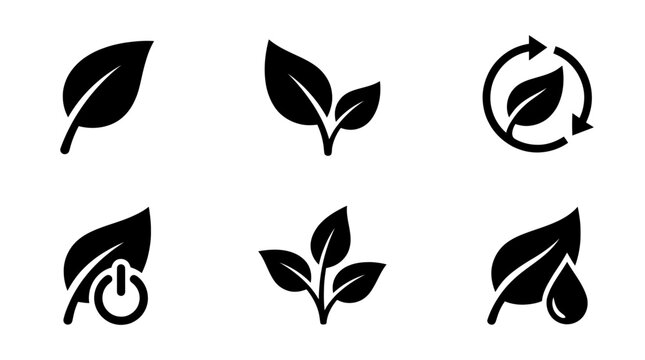 collection of eco leaf, 6 filled black minimal icon vector set , white background , PNG and SVG isolate