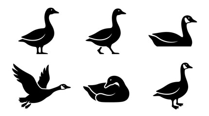 Fototapeta premium collection of goose, 6 filled black minimal icon vector set , white background , PNG and SVG isolate
