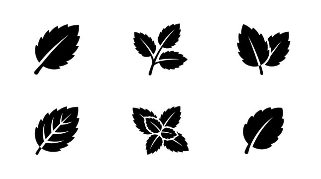 collection of mint leaf, 6 filled black minimal icon vector set , white background , PNG and SVG isolate