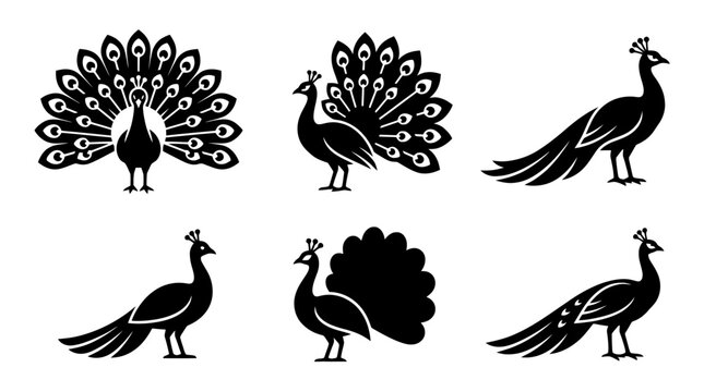 collection of peacock, 6 filled black minimal icon vector set , white background , PNG and SVG isolate